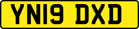 YN19DXD