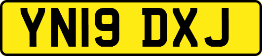 YN19DXJ