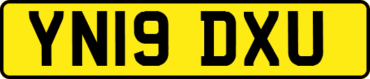 YN19DXU