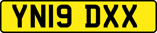 YN19DXX