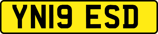 YN19ESD