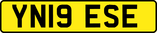 YN19ESE
