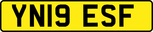 YN19ESF