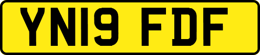 YN19FDF