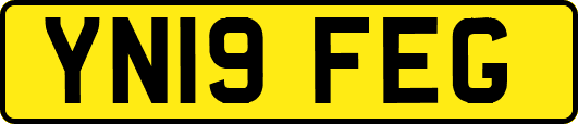YN19FEG