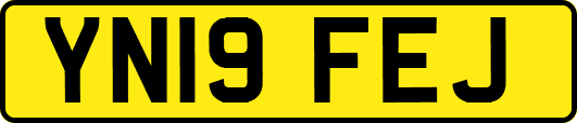 YN19FEJ