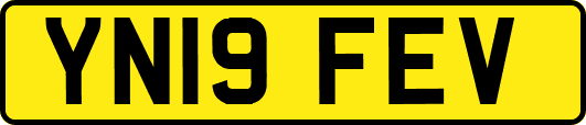 YN19FEV