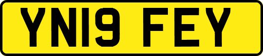 YN19FEY