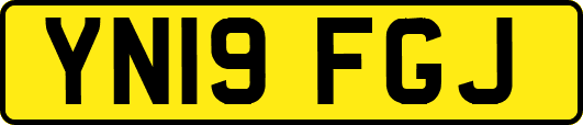 YN19FGJ