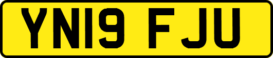 YN19FJU