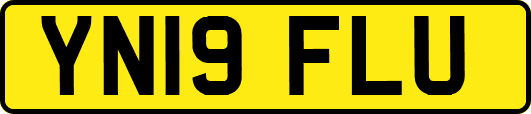 YN19FLU