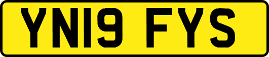 YN19FYS