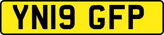 YN19GFP