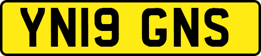 YN19GNS