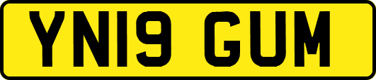 YN19GUM