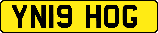 YN19HOG