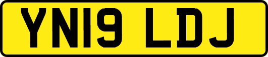 YN19LDJ
