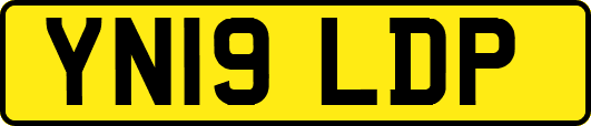 YN19LDP