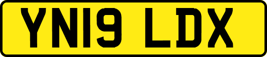 YN19LDX