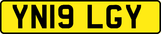 YN19LGY