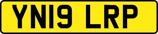 YN19LRP