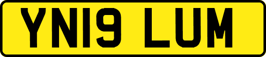 YN19LUM