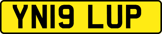 YN19LUP