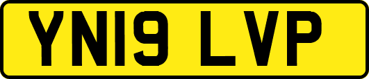 YN19LVP