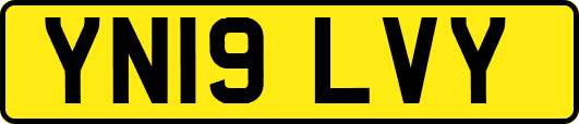 YN19LVY
