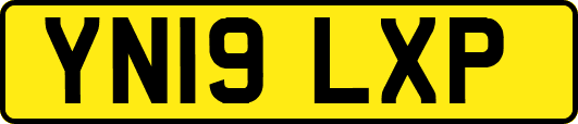 YN19LXP