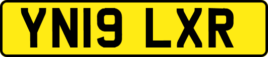 YN19LXR