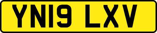 YN19LXV