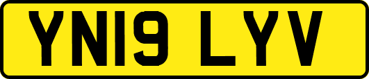 YN19LYV