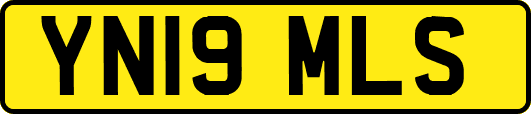 YN19MLS