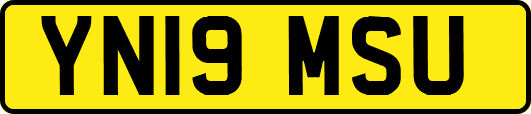 YN19MSU