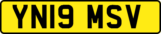 YN19MSV