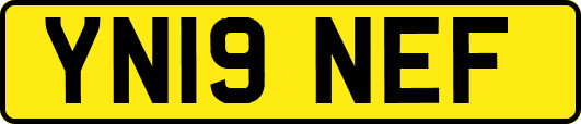 YN19NEF