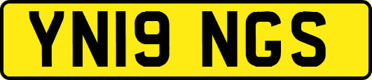 YN19NGS