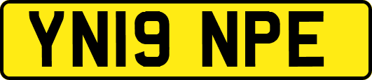 YN19NPE