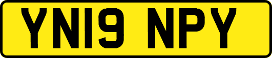 YN19NPY