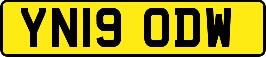 YN19ODW