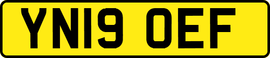 YN19OEF