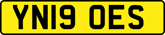 YN19OES