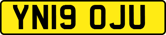 YN19OJU