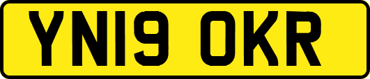 YN19OKR