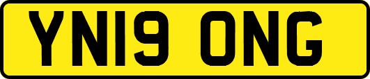 YN19ONG