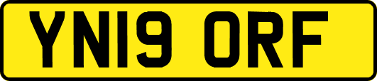 YN19ORF