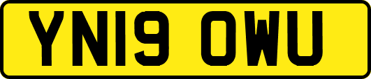 YN19OWU