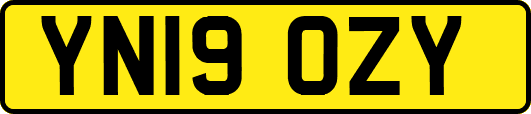 YN19OZY
