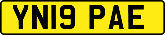 YN19PAE